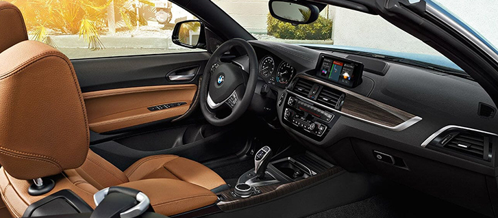 2019 BMW 2 Series 230i Convertible Technology