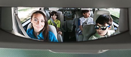 Observation Mirror