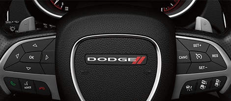 Instrument Cluster Controls