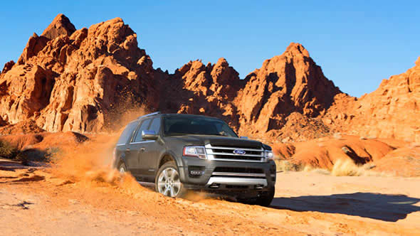 2015 Ford Expedition appearance