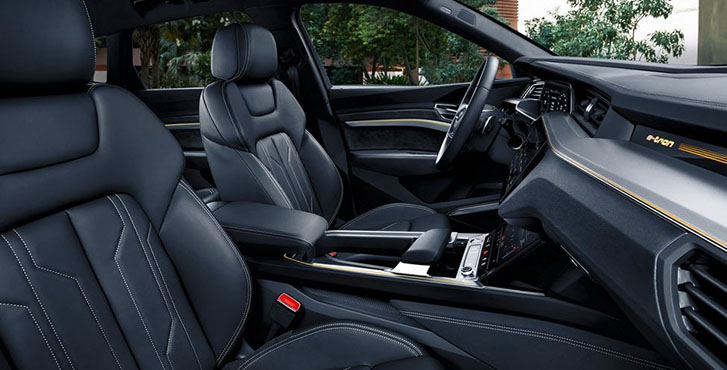 2019 Audi e-tron appearance