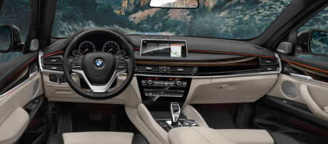 2018 BMW X Models X6 sDrive35i comfort
