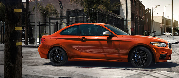 2019 BMW 2 Series 230i xDrive Coupe safety