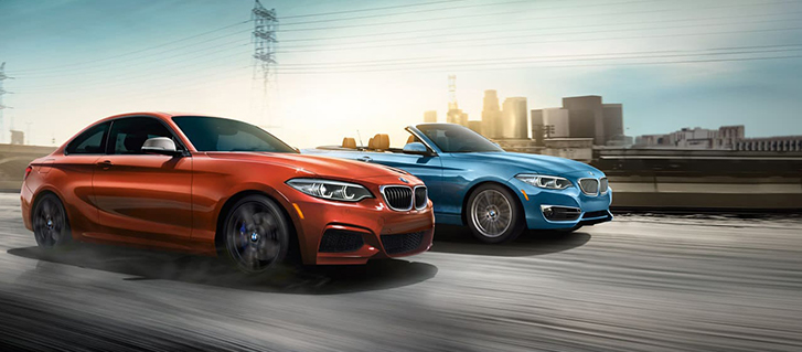 2019 BMW 2 Series 230i xDrive Coupe safety