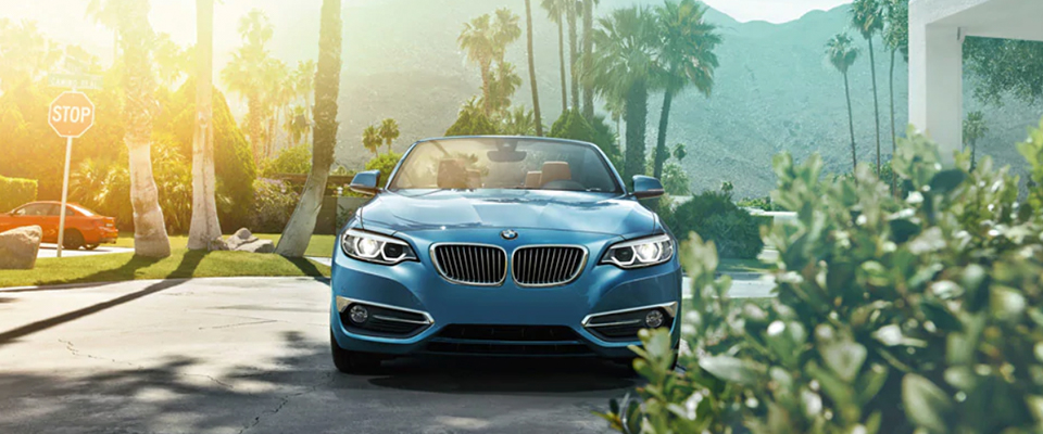 2019 BMW 2 Series Appearance Main Img