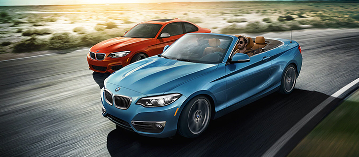 2019 BMW 2 Series M240i Convertible Sport Steering