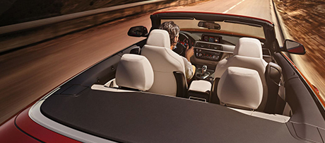 2019 BMW 4 Series 430i Convertible Neck Warmers