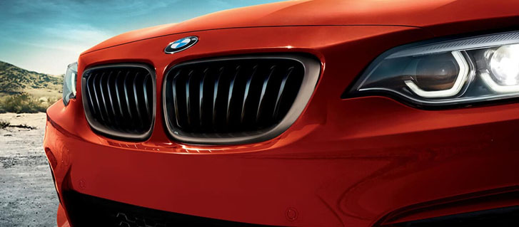 2020 BMW 2 Series 230i Coupe safety