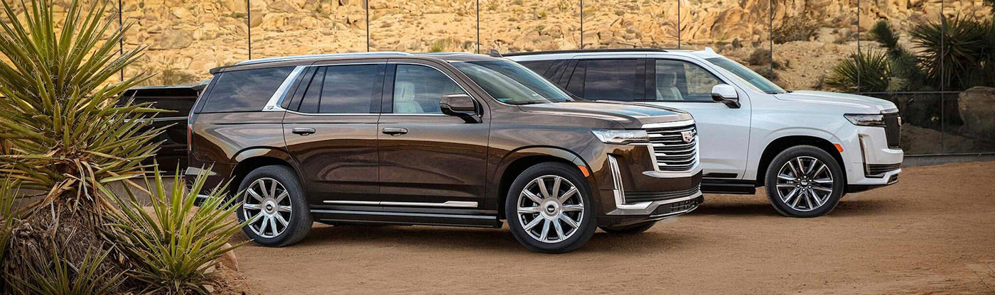 2021 Cadillac Escalade Main Img