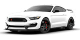 Mustang Shelby® GT350R