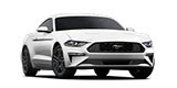 Mustang Ecoboost Fast Back