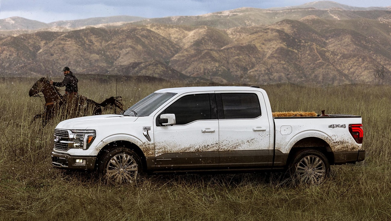 2026 Ford F-150 Appearance Main Img