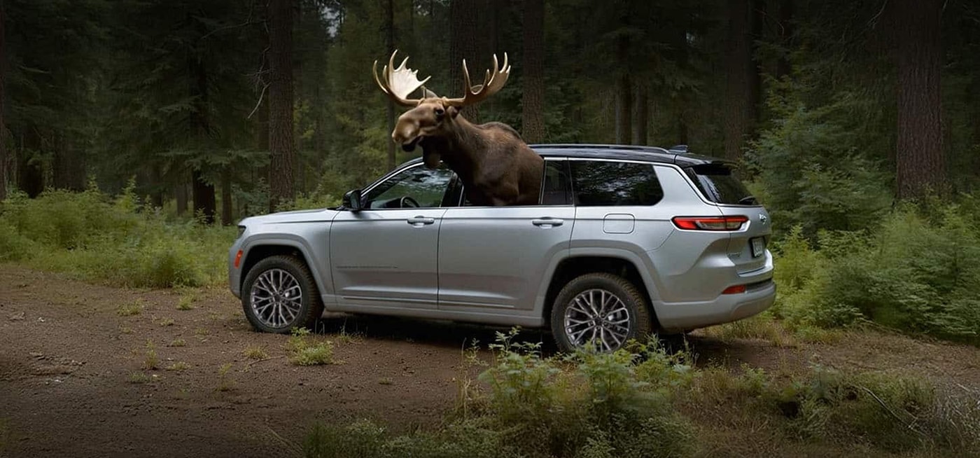 2026 Jeep Grand Cherokee Safety Main Img