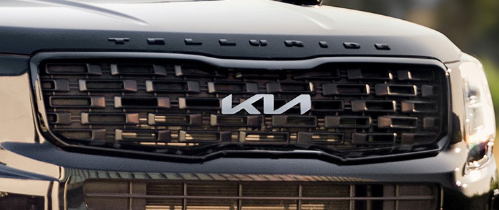 2022 Kia Telluride appearance