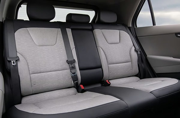 2026 Kia Niro EV comfort