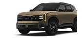 Seltos X-Line S