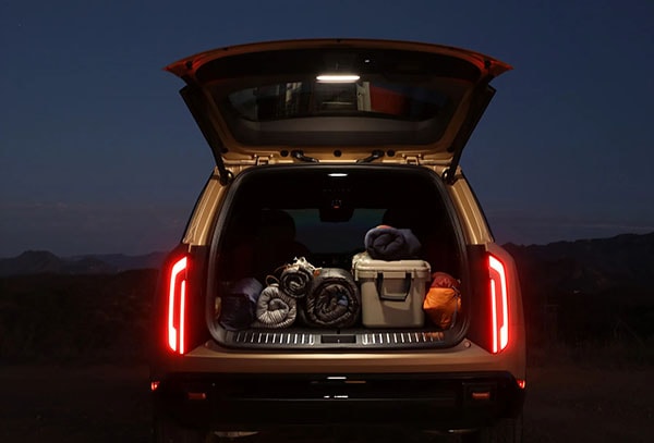 2027 Kia Telluride Hybrid comfort