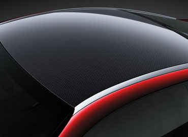 Carbon Fiber Roof