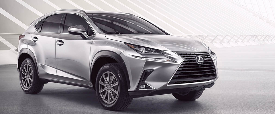 2019 Lexus NX Appearance Main Img