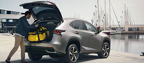 2019 Lexus NX Power Rear Door With Kick Sensor