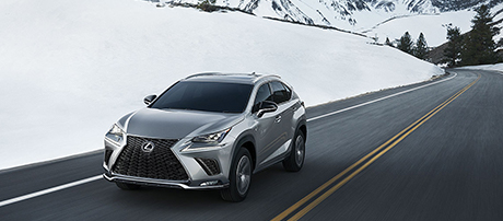 2019 Lexus NX Hill-start Assist Control