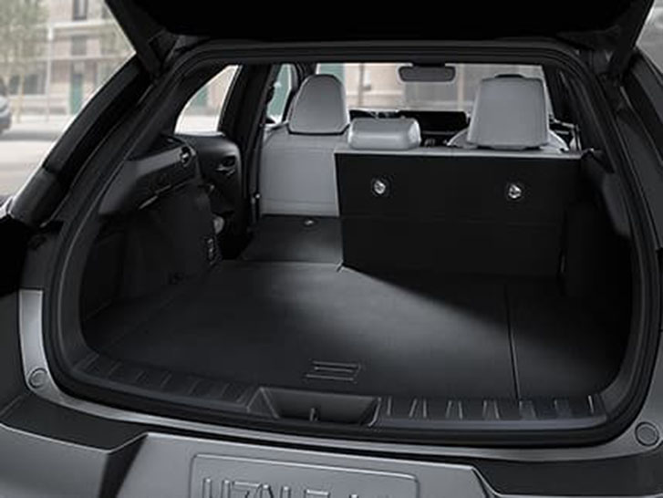 2020 Lexus UX comfort