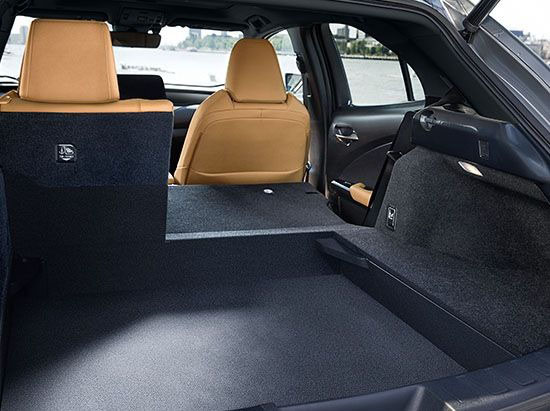 2025 Lexus UX comfort