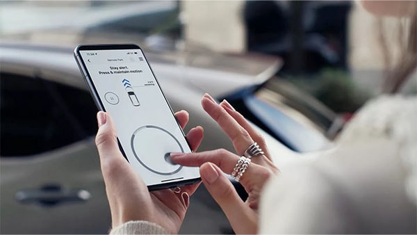 2026 Lexus NX comfort