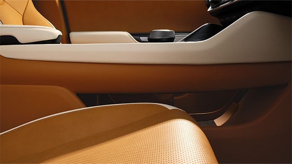 2026 Lexus RZ comfort