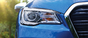 LED Steering Responsive Headlights and High Beam Assist