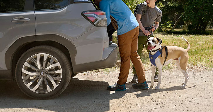 2025 Subaru Forester appearance