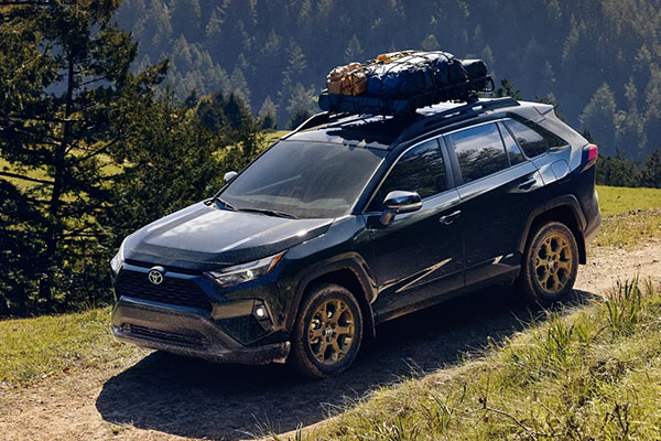 2025 Toyota RAV4 Hybrid appearance