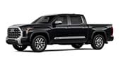 Tundra 1794 Edition